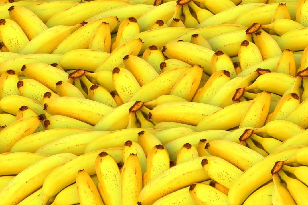 sonhar banana