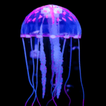 sonhar medusa