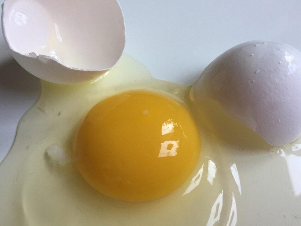 ovo quebrado