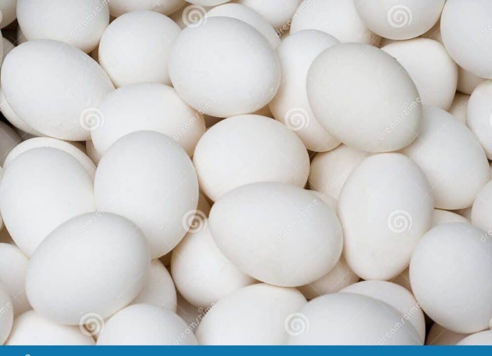 ovos brancos